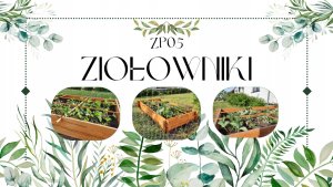 Wamar-Sosenka Drewniana grządka podwyższana ZP05 /100x100cm/ Szara Drewno Sosnowe 2
