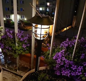 Ansult Lampa ogrodowa solarna w stylu retro wbijana lub wisząca 37,5 10 cm Lampa ogrodowa solarna w stylu retro wbijana lub wisząca 37,5 10 cm 4