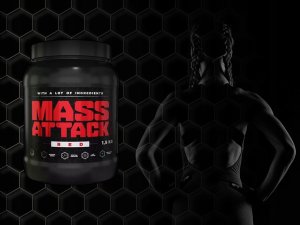 Triton FITLABS Mass Attack - 1500g 2