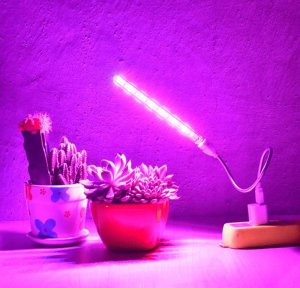 Heckermann Lampa Do Wzrostu Roślin Heckermann Zwd10W 6