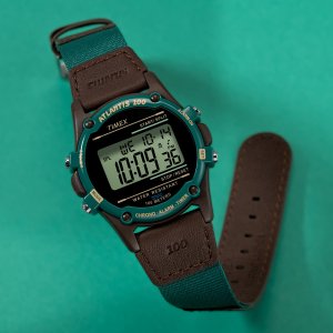 Zegarek Timex Zegarek męski Timex TW2V44300 zielony 8