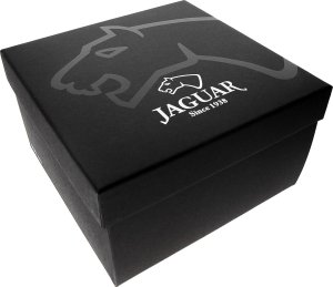 Zegarek Jaguar Zegarek męski Jaguar J861-6 srebrny 2