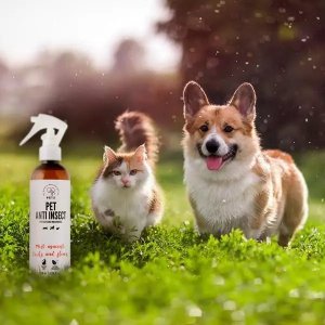 Pets Pets Spray Przeciw Pchłom i Kleszczom dla Psa Kota 250ml 2