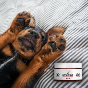Pets Pets Nose Paw Balm Balsam Dla Psa Kota Do Łap Nosa 75ml 2