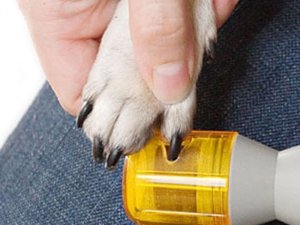 Verk Pilnik do pazurów pazurków szlifierka dla psa kota Pilnik do pazurów pazurków szlifierka dla psa kota 4