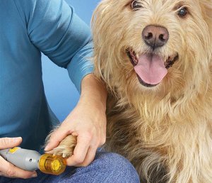 Verk Pilnik do pazurów pazurków szlifierka dla psa kota Pilnik do pazurów pazurków szlifierka dla psa kota 6