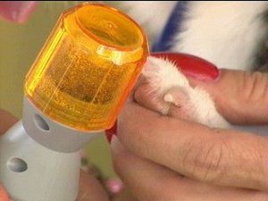 Verk Pilnik do pazurów pazurków szlifierka dla psa kota Pilnik do pazurów pazurków szlifierka dla psa kota 9