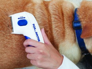 Verk Elektryczny grzebień na pchły gęsty dla psa kota Elektryczny grzebień na pchły gęsty dla psa kota 6