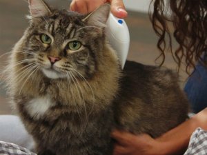 Verk Elektryczny grzebień na pchły gęsty dla psa kota Elektryczny grzebień na pchły gęsty dla psa kota 7