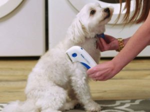 Verk Elektryczny grzebień na pchły gęsty dla psa kota Elektryczny grzebień na pchły gęsty dla psa kota 8