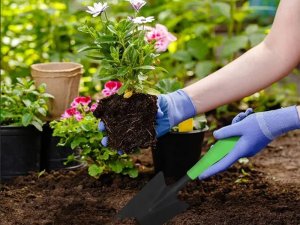 Verk Łopatka ogrodowa do sadzenia przesadzania roślin do pikowania szpadelek Łopatka ogrodowa do sadzenia przesadzania roślin do pikowania szpadelek 9
