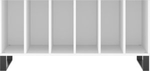 vidaXL Szafka na płyty, biała, 100x38x48 cm, materiał drewnopochodny 4