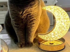 Lampka biurkowa Verk Lampka nocna stołowa księżyc kryształ led rgb usb 7