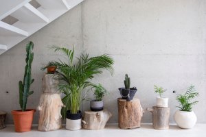 Lorena Canals Lorena Canals Kosz dekoracyjny Basket Dual Black N 3