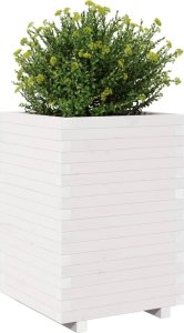 vidaXL Donica ogrodowa, biała, 50x50x72,5 cm, lite drewno sosnowe 4