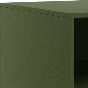 vidaXL Szafka pod telewizor, oliwkowa, 67x39x44 cm, stalowa 10