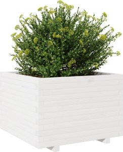 vidaXL Donica ogrodowa, biała, 70x70x49,5 cm, lite drewno sosnowe 4