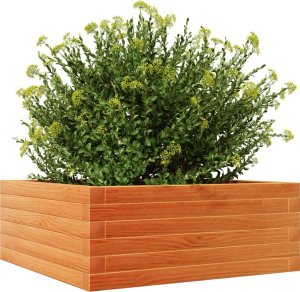 vidaXL Donica ogrodowa, woskowy brąz, 60x60x23 cm, lite drewno sosnowe 4