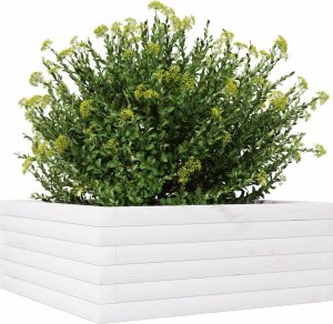 vidaXL Donica ogrodowa, biała, 60x60x23 cm, lite drewno sosnowe 4