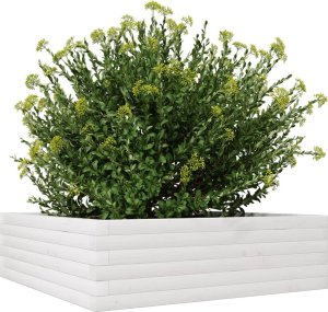 vidaXL Donica ogrodowa, biała, 80x80x23 cm, lite drewno sosnowe 4