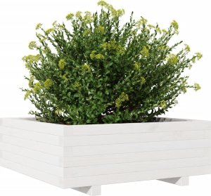 vidaXL Donica ogrodowa, biała, 70x70x26,5 cm, lite drewno sosnowe 4