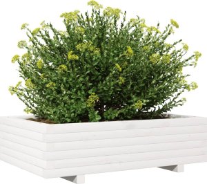 vidaXL Donica ogrodowa, biała, 90x60x26,5 cm, lite drewno sosnowe 4