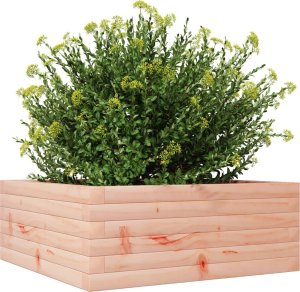 vidaXL Donica ogrodowa, 60x60x23 cm, lite drewno daglezjowe 4