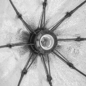 Lampa studyjna GlareOne GlareOne Softbox światła ciągłego Octa 60 - 1 świetlówka 3