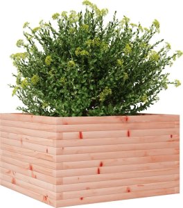 vidaXL Donica ogrodowa, 80x80x45,5 cm, lite drewno daglezjowe 4