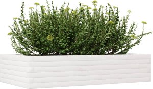 vidaXL Donica ogrodowa, biała, 110x60x23 cm, lite drewno sosnowe 4