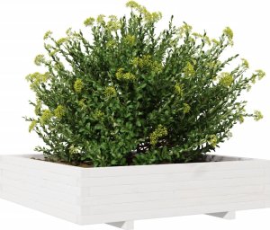 vidaXL Donica ogrodowa, biała, 100x100x26,5 cm, lite drewno sosnowe 4