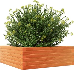vidaXL Donica ogrodowa, woskowy brąz, 70x70x23 cm, lite drewno sosnowe 4