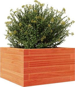 vidaXL Donica ogrodowa, woskowy brąz, 40x40x23 cm, lite drewno sosnowe 4