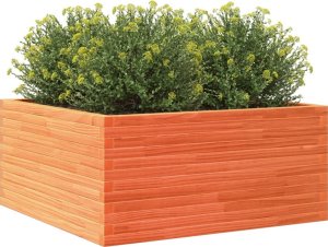 vidaXL Donica ogrodowa, woskowy brąz, 100x100x46 cm, drewno sosnowe 4