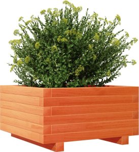 vidaXL Donica ogrodowa, woskowy brąz, 50x50x26,5 cm, drewno sosnowe 4