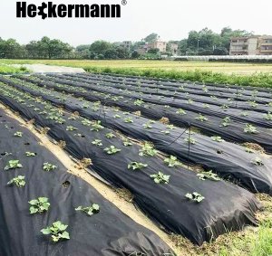 Heckermann Agrowłóknina Heckermann 1,6x50m 150g/m2 Czarna 4