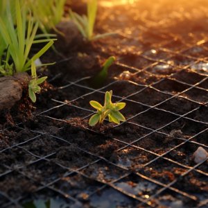 Heckermann Zestaw Siatka na krety 2x200m 30g/m2 + Kołki Czarne 100 szt 14