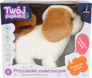 Askato Maskotka interaktywna Piesek na baterie 2