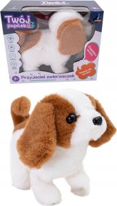 Askato Maskotka interaktywna Piesek na baterie 4