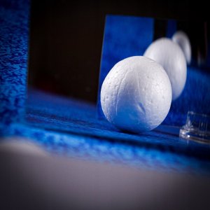 Lisciani Zestaw Im a Genius Jestem małym naukowcem 8