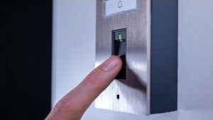 DoorBird IP Video Türstation D1101FV Fingerpr. Edels. V2A 2