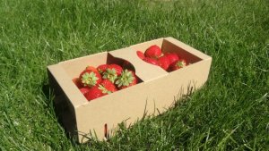 PLAST Kosz na owoce odcienie brązowego 5