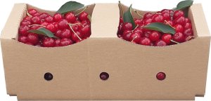 PLAST Kosz na owoce odcienie brązowego 6