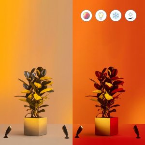 Signify WiZ Ground Spot Extension/Spotlight 270 lm opakowanie jednostkowe sw- 9