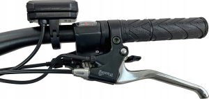 Rower elektryczny Esperia El. Dviratis Esperia E960 50 36V12.8AH 22E96050 10