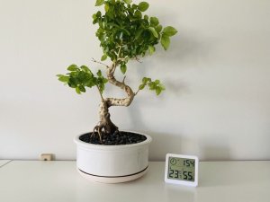 Termometr MiniMu Skaitmeninis termometras Hygrometer MM02 4