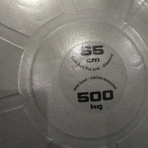 Toorx Gimnast. kamuolys 65cm TOORX PRO AHF-148 2