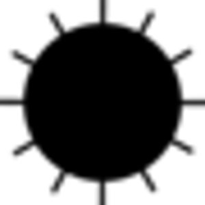 Bahco Dildė medžiui, apvali 200mm, 2 grubumo su Ergo rankena 4