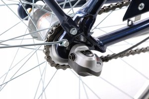 Romet Dviratis Romet Pop Art Classic 28" Alu 2022 blue mat-20" / L (Dydis: 20" / L) 9