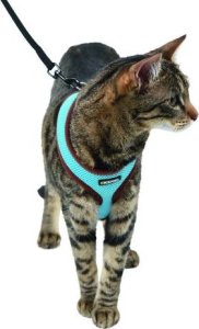 Kerbl Szelki z lamówką + smycz 120cm dla kota Niebieskie 2